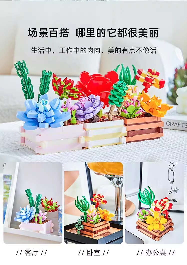 多肉花园-绯红低语