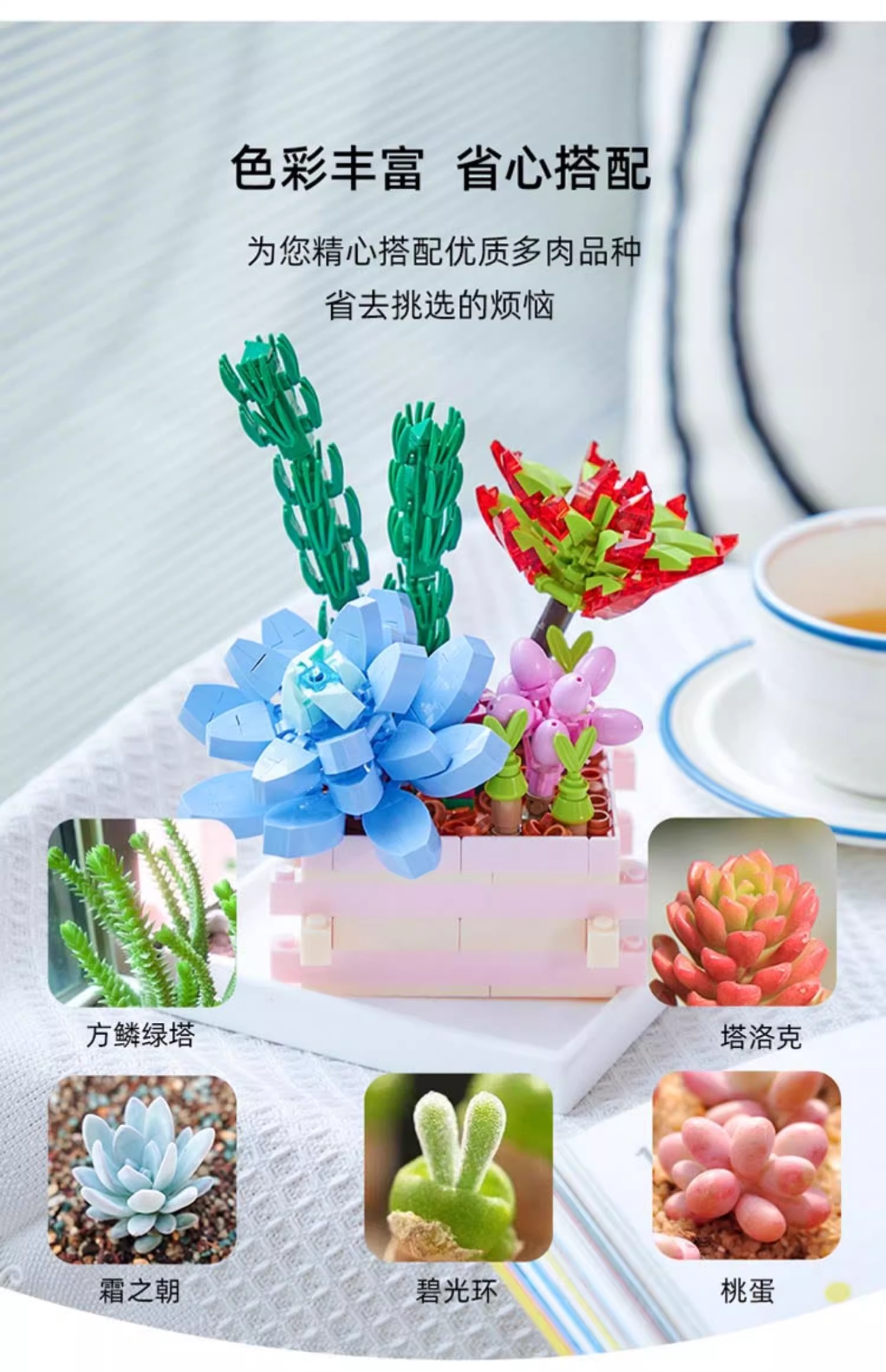 Succulent Garden-Summer Dew