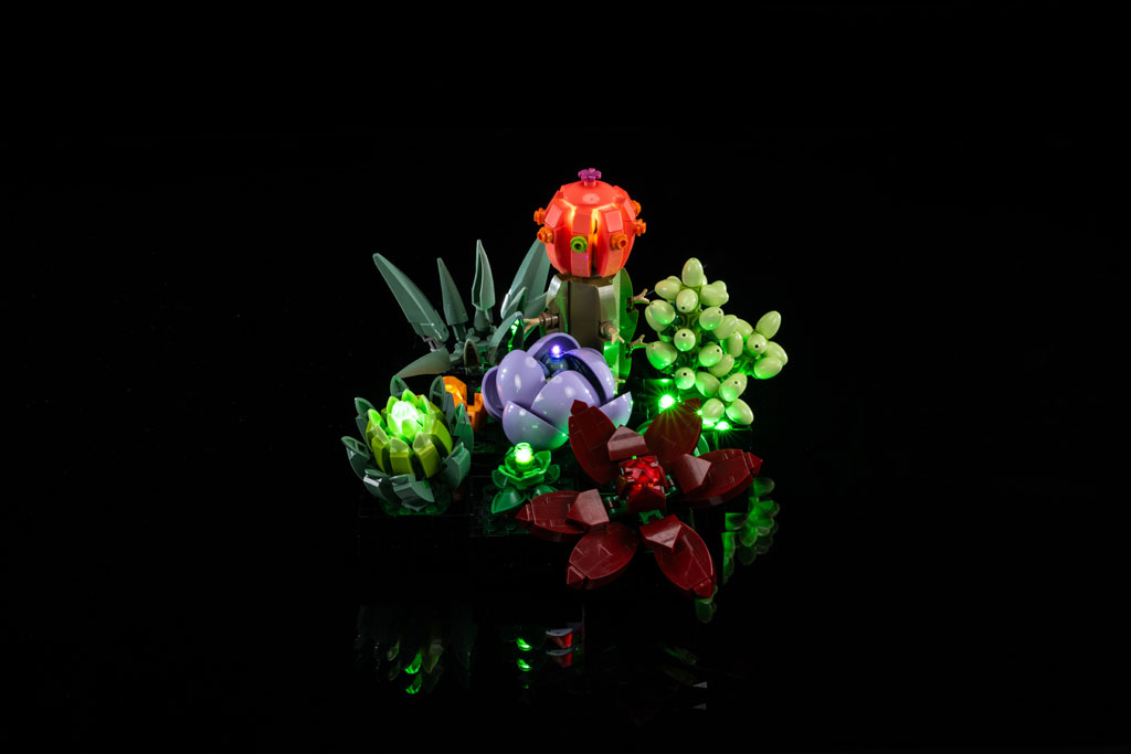 乐高10309多肉植物适配灯光组件