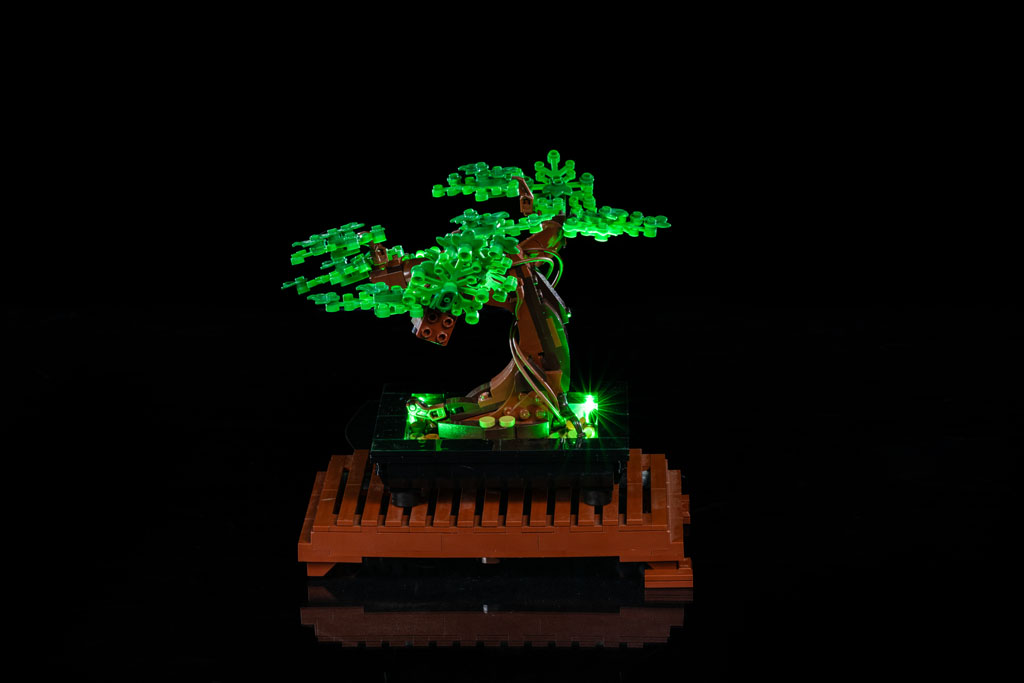 Bonsai Tree