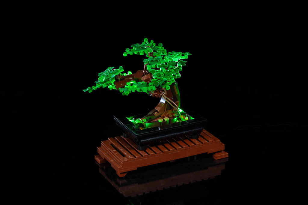 Bonsai Tree