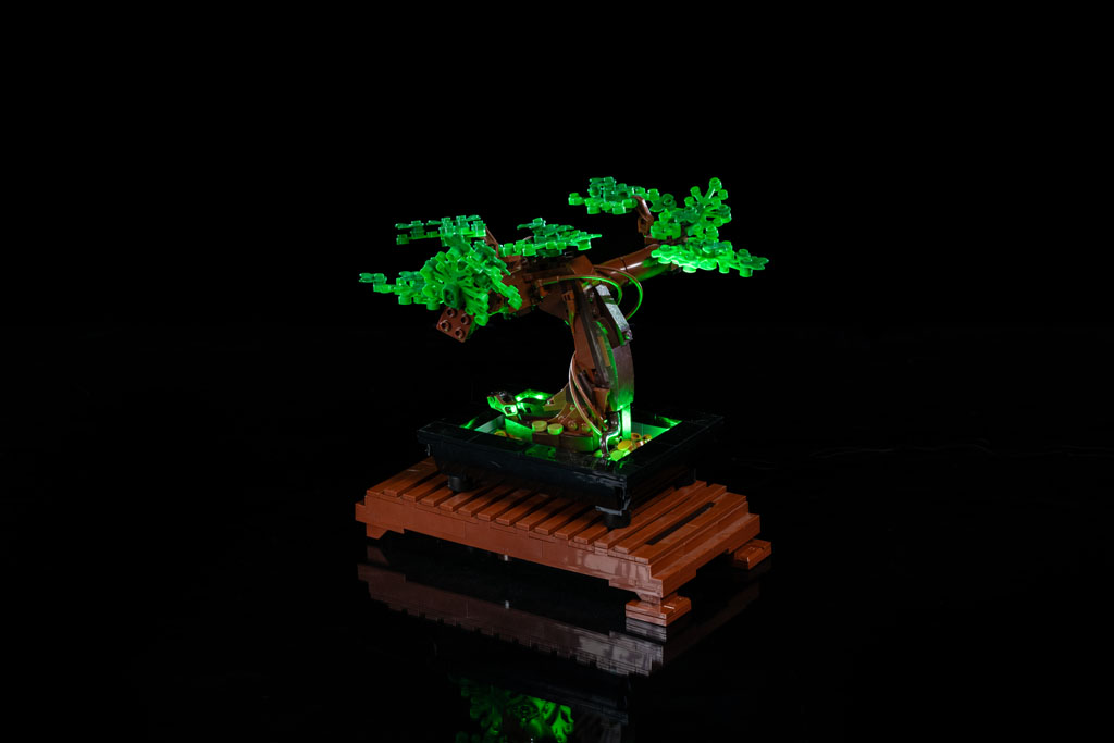 Bonsai Tree
