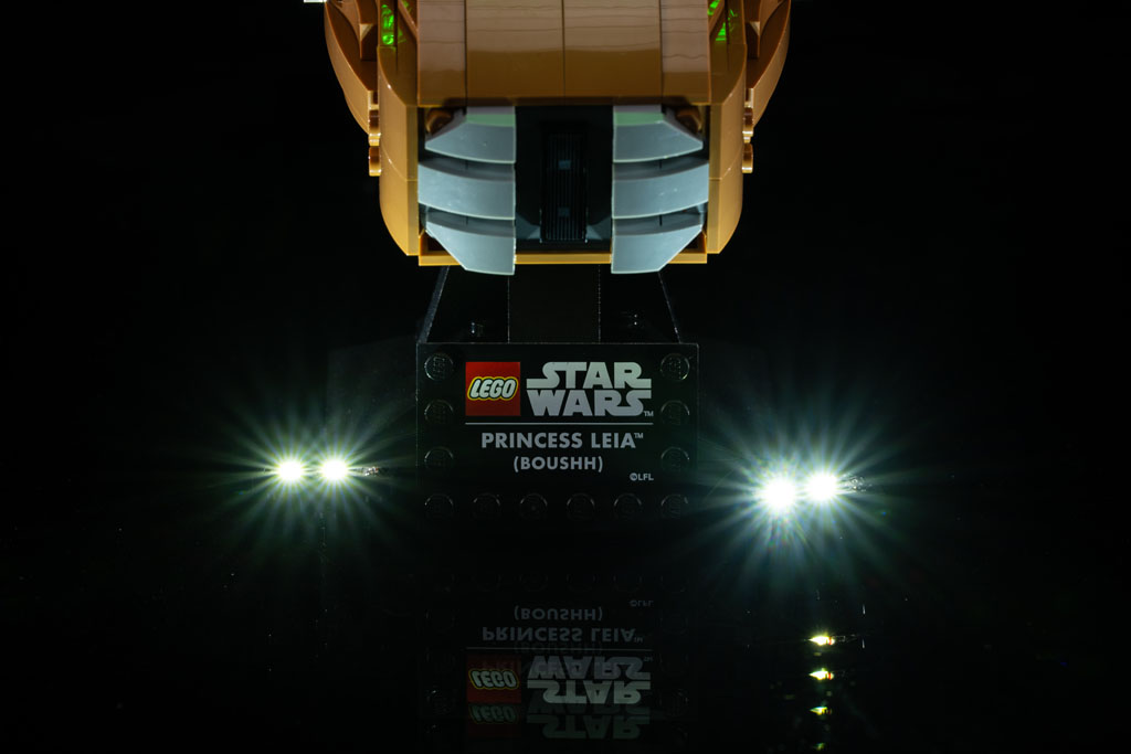 Princess Leia (Boushh) Helmet