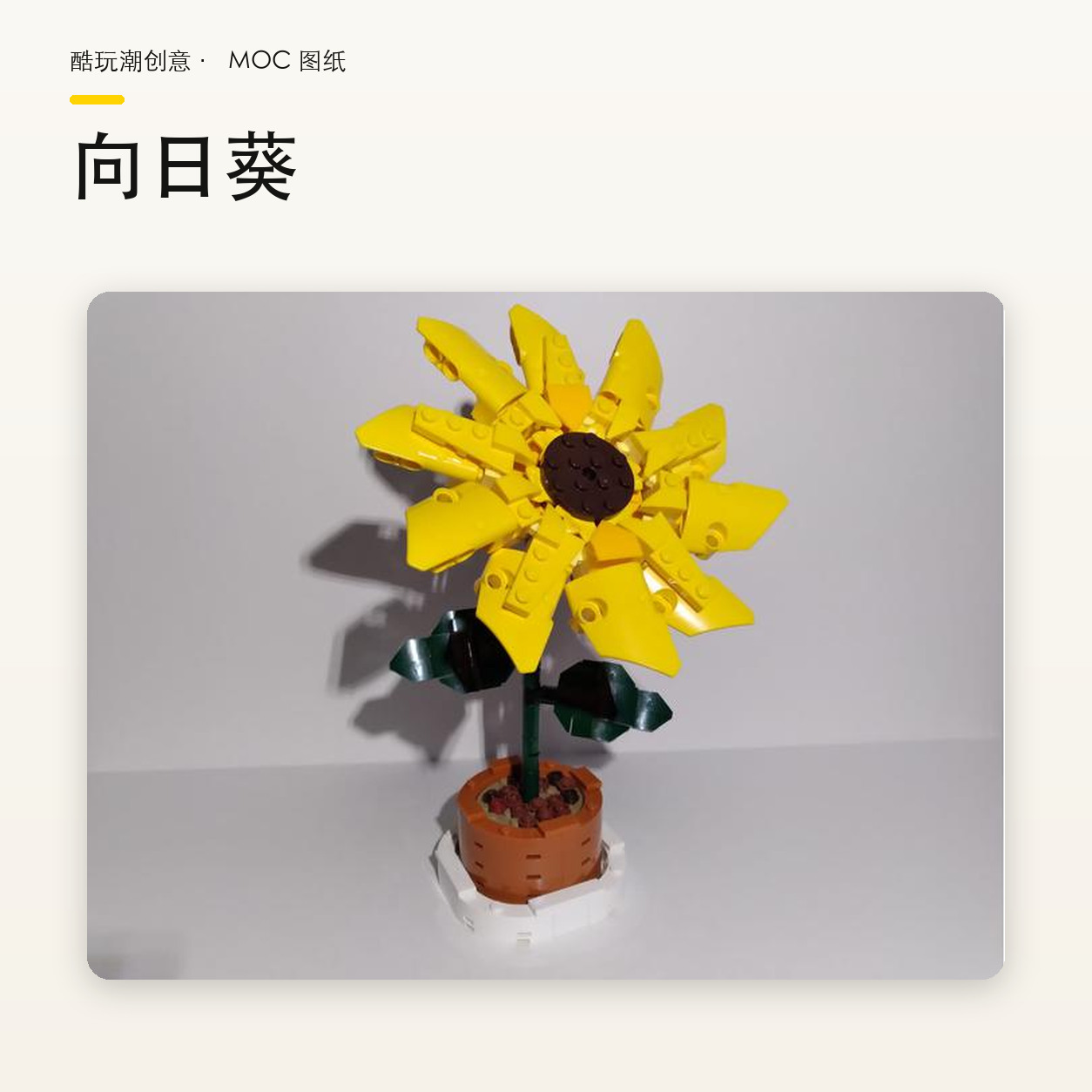 向日葵 作品图片 3